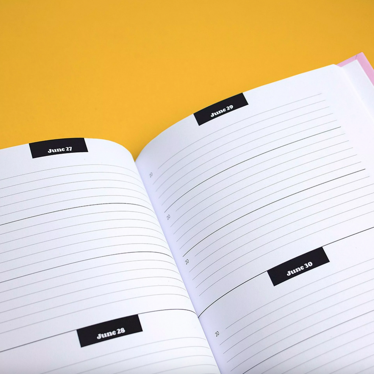 Journal sur 3 ans - Nolki